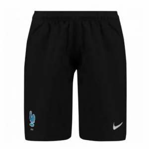 CAMISETA Nike France SEGUNDA EQUIPACIÓN pants 17/18